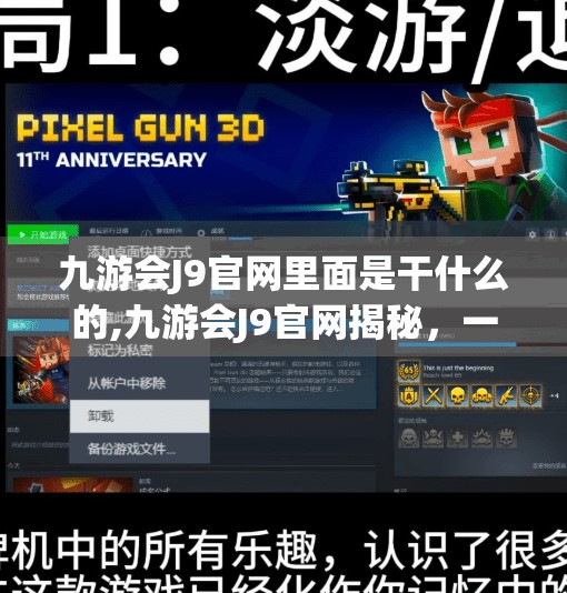 九游会J9官网里面是干什么的,九游会J9官网揭秘，一个被误解的游戏帝国背后的真实世界