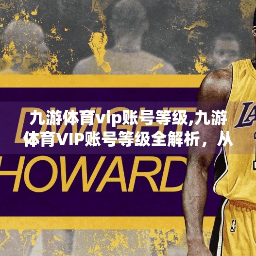 九游体育vip账号等级,九游体育VIP账号等级全解析，从入门到进阶，你真的了解它吗？